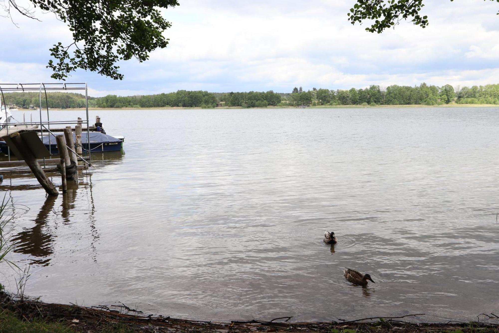 Ferienwohnung Habicht Villa-Paelitzsee Grosszerlang Buitenkant foto